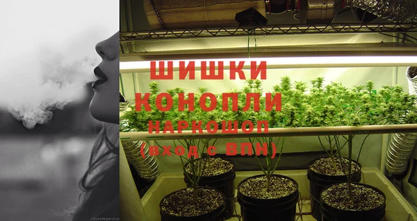 Альфа ПВП Кукмор