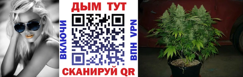 Канабис LSD WEED  продажа наркотиков  Омск 